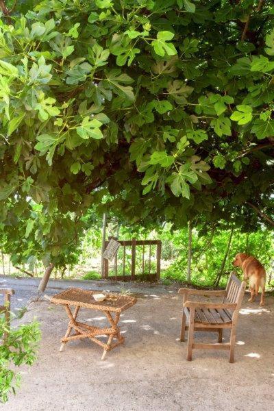 Отель Agriturismo La Selva Финале Лигуре Экстерьер фото